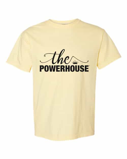 Comfort Colors® Heavyweight Ring Spun Tee. 1717