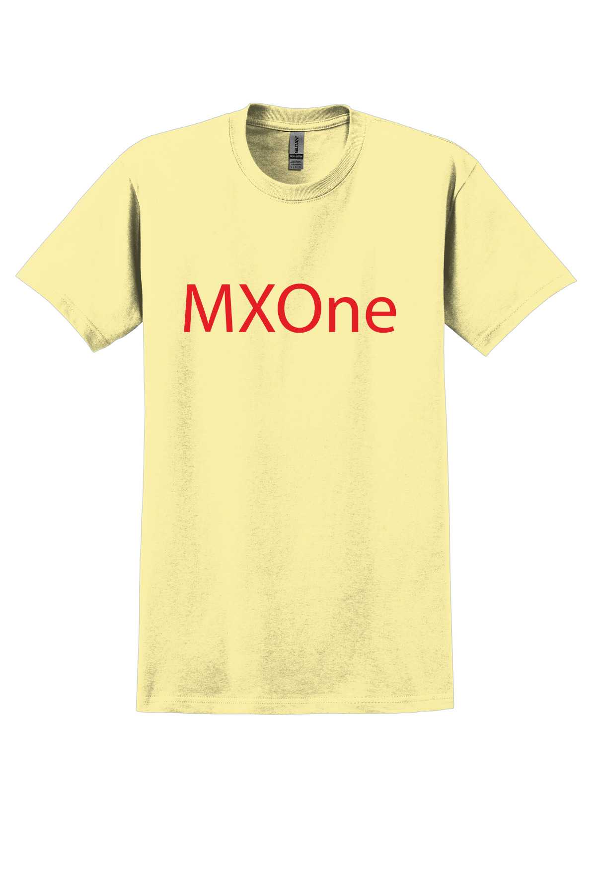 Gildan® - Ultra Cotton® 100% US Cotton T-Shirt.  2000