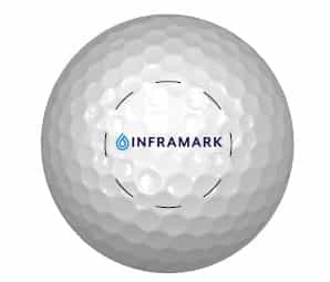Titleist Pro V1